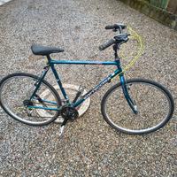 Bicicletta Bottecchia americas 500TH