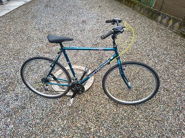 Bicicletta Bottecchia americas 500TH