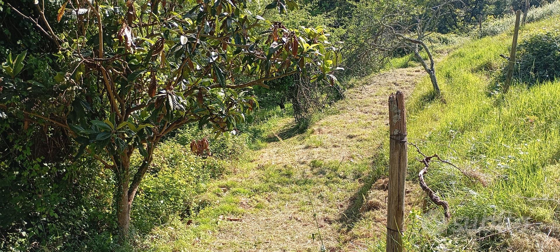 terreno agricolo per fotovoltaico/animali/colti - Vista 3