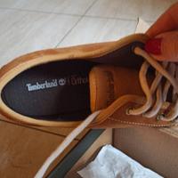 Scarpe Sneakers Timberland camoscio