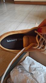 Scarpe Sneakers Timberland camoscio