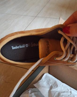 Scarpe Sneakers Timberland camoscio