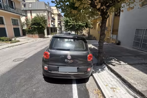 Auto con disponibilità immediata
