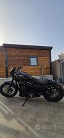 Harley Davidson sportster 883 iron
