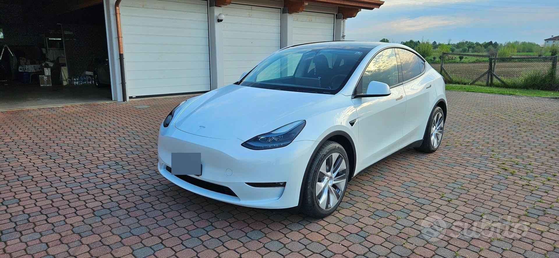 Testa model Y long Range AWD 2023 - Auto In vendita a Vicenza