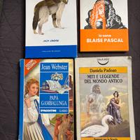 Lotto 4 libri per ragazzi – classici, narrativa