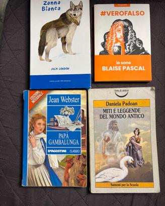 Lotto 4 libri per ragazzi – classici, narrativa