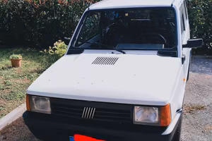 panda