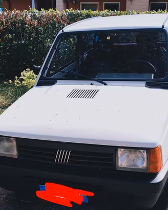 panda