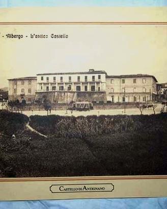 3)Riproduzione cartolina postale Livorno inizi '90