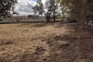 Terreno agricolo di 2700 mq a Varcaturo