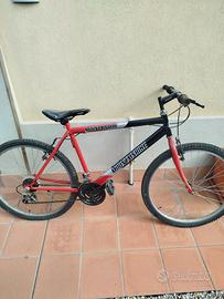 biciclette 