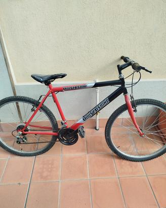 biciclette 