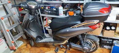 bicicletta elettrica 