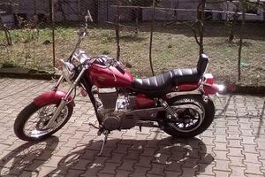 Suzuki LS 650 - 1994