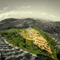 TER. AGRICOLO A SERMONETA