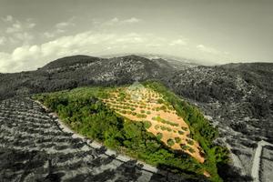 TER. AGRICOLO A SERMONETA