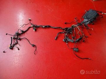 IMPIANTO ELETTRICO BMW R850RT 2001