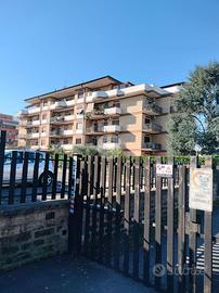BOX A ROMA