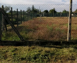 Lotto di terra