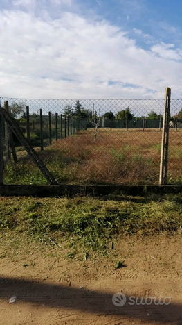 Lotto di terra