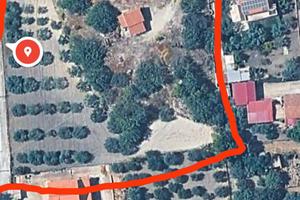 terreno agricolo 