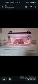 acquario 80 litri