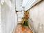 Immagine 29