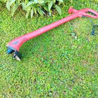 Decespugliatore Elettrico 