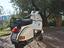Immagine 2
