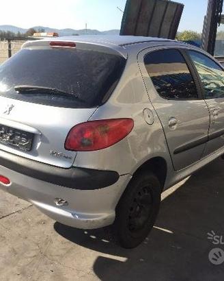 Ricambi Peugeot 206 1.4 HDI 5 porte 2005
