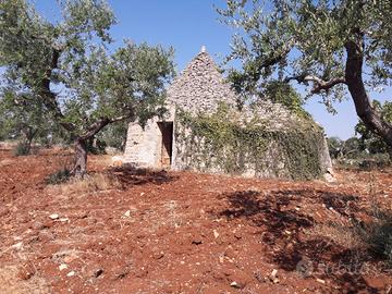 Trulli rustici con progetto ampliamento approvato