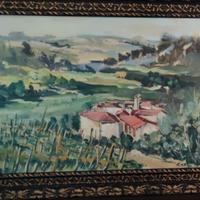 paesaggio collinare con vigna