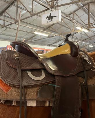 Sella americana Wild West Platinum