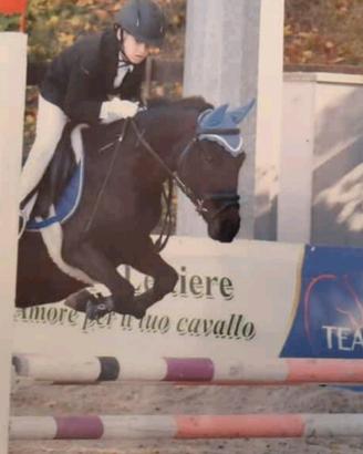 Pony