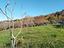 Immagine 16