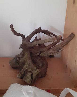 tronchetto per acquario
