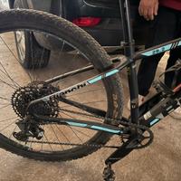 Bianchi grizzly 29.2