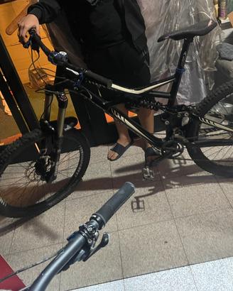 bici specialized enduro evo