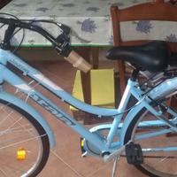 bicicletta da passeggio 