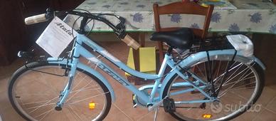 bicicletta da passeggio 