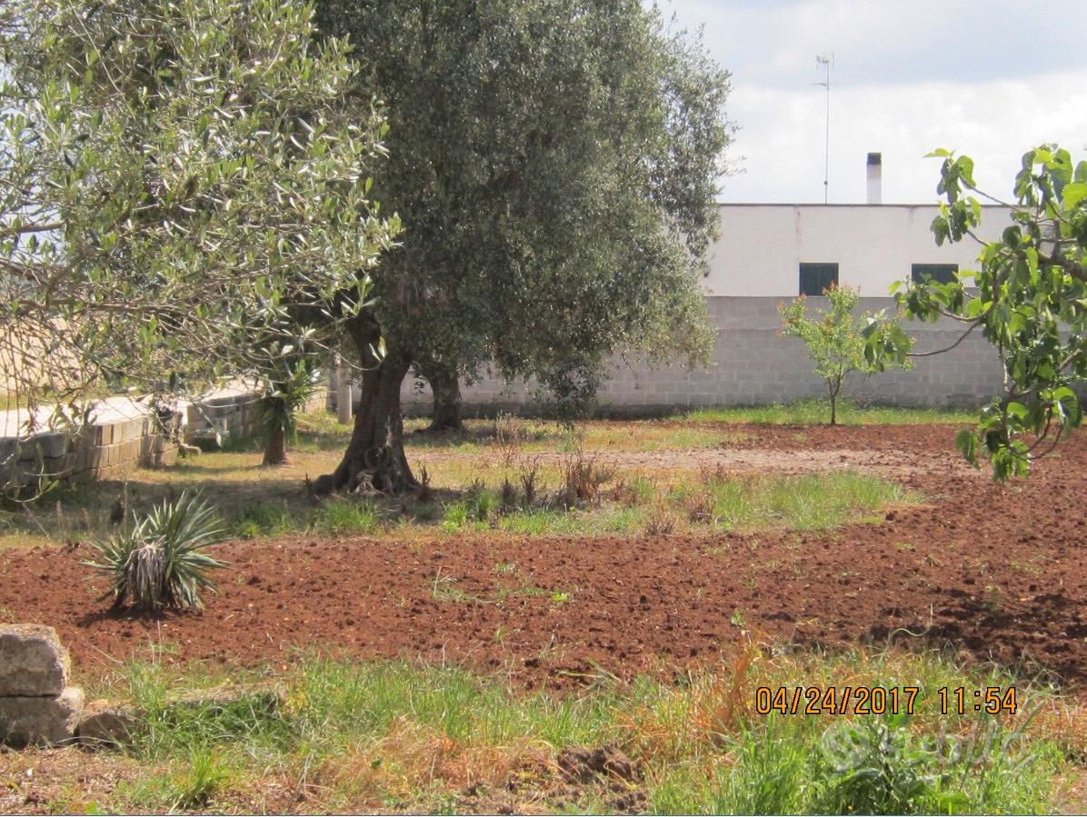Veglie terreno agricolo - Vista 3