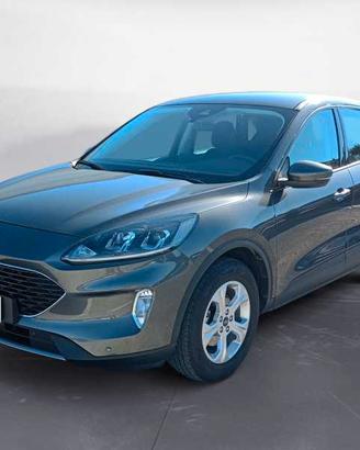 FORD Kuga 1.5 tdci Business 2wd 120cv