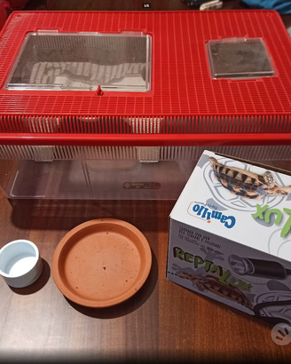 terrario con lampada per tartaruga o rettili