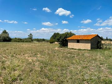 Terreno agricolo con annesso regolare