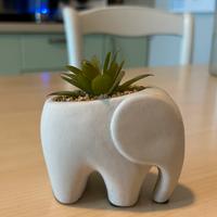 Mini vaso elefante con piantina