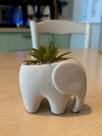 Mini vaso elefante con piantina