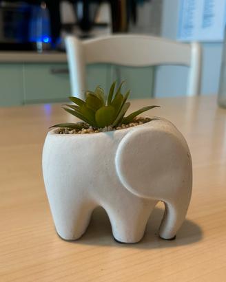 Mini vaso elefante con piantina