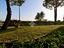 Immagine 22