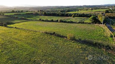 Terreno di 9000 m² a Bracciano